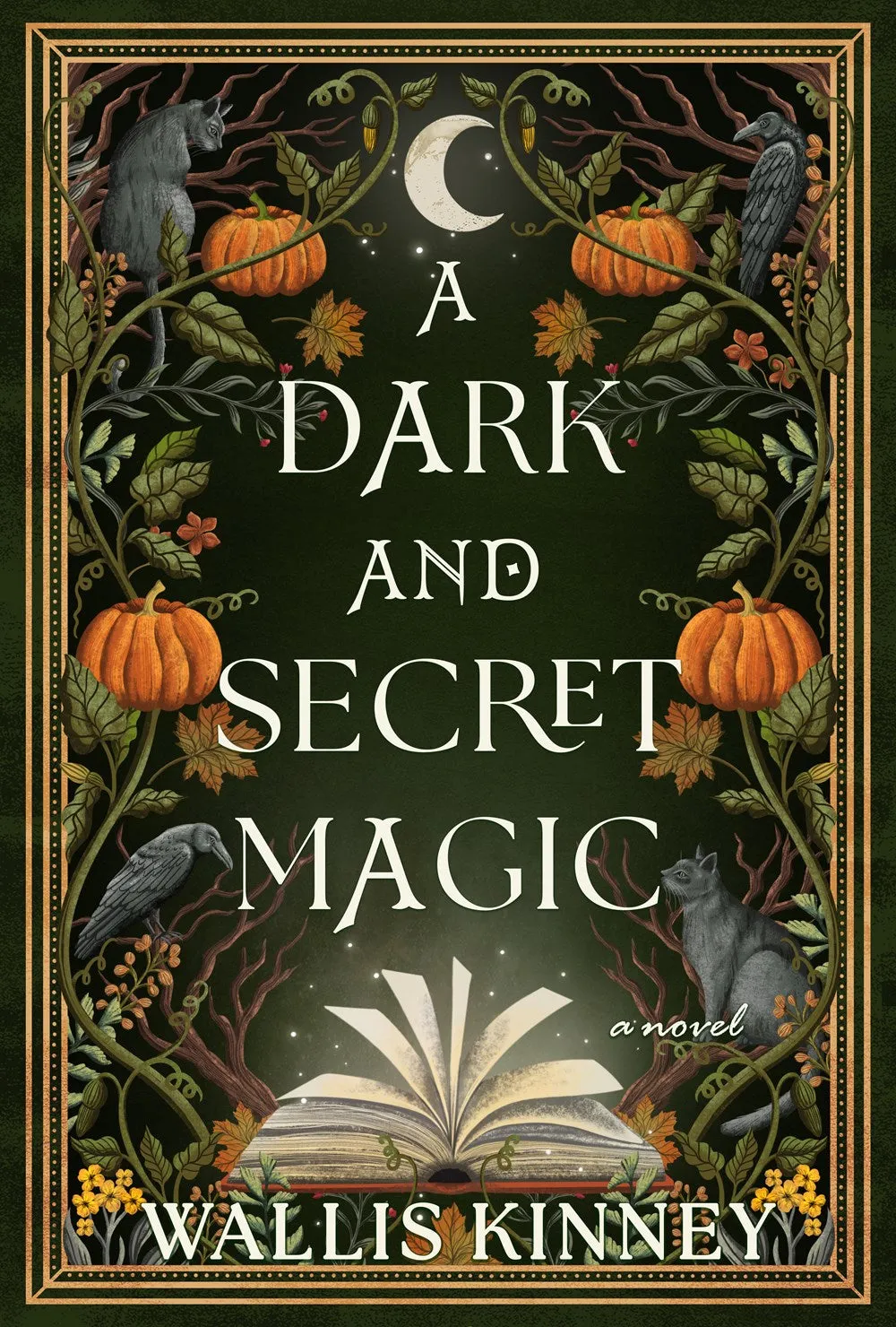 A Dark and Secret Magic : A Novel Cleary's
