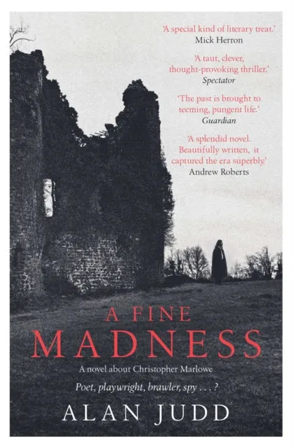 A Fine Madness by Alan Judd