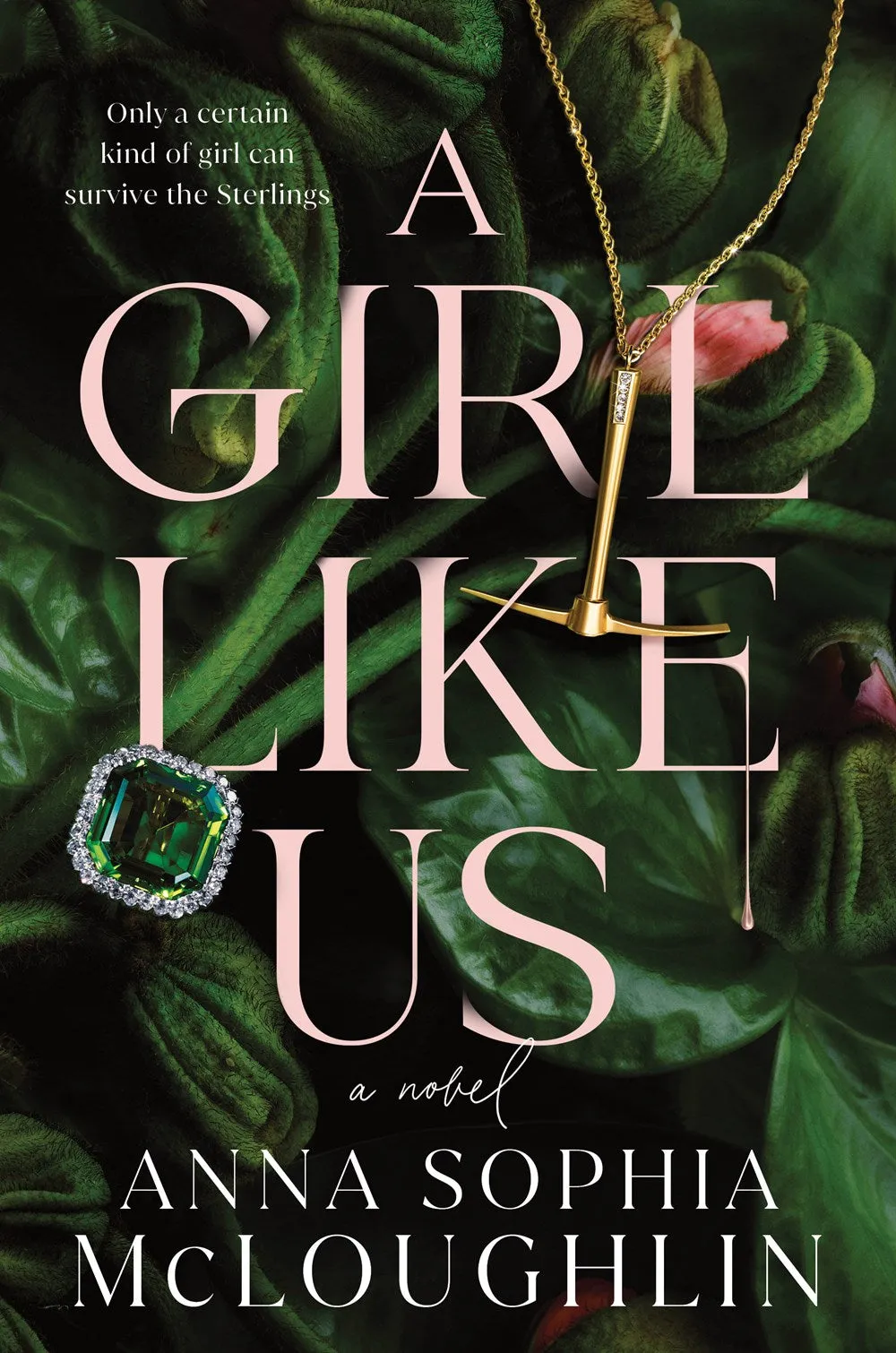 A Girl Like Us : A Novel Cleary's
