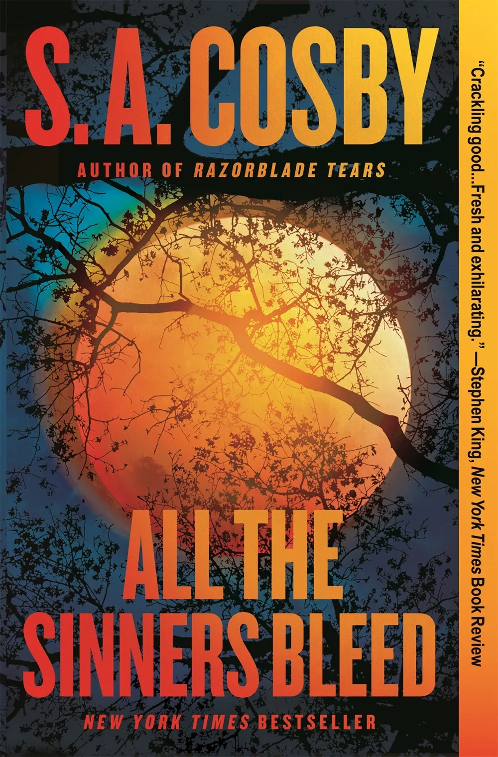 All the Sinners Bleed : A Novel Cleary's