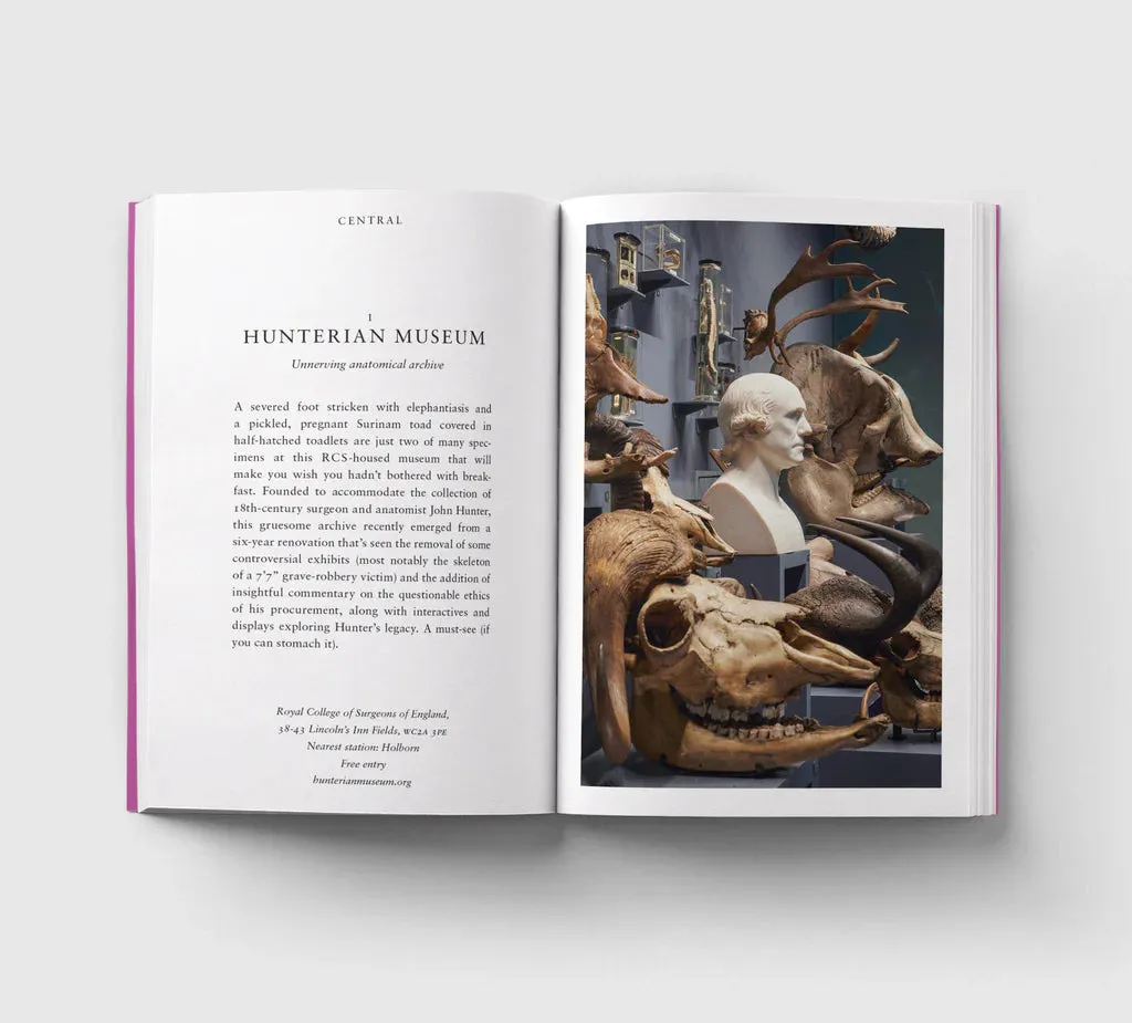 An Opinionated Guide to London Museums