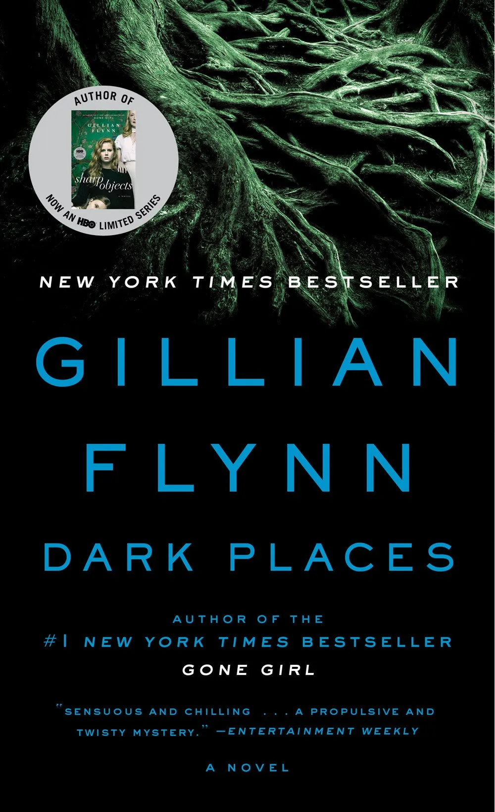 Dark Places : A Novel Cleary's