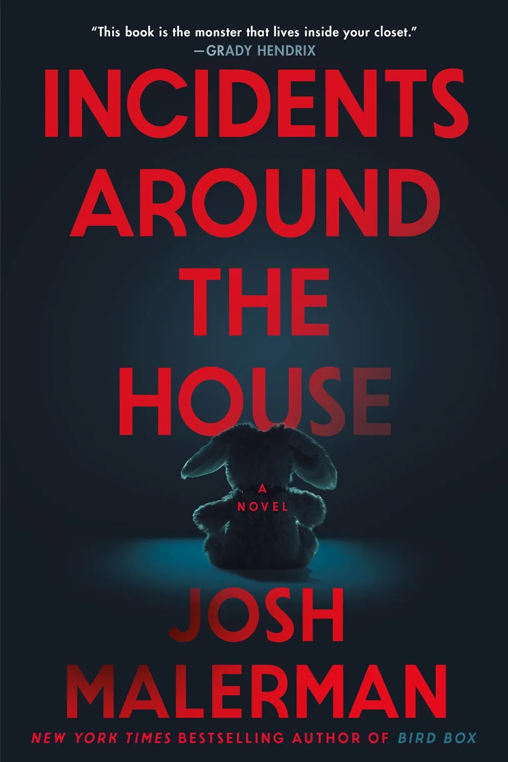 Incidents Around the House : A Novel Cleary's