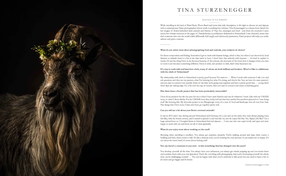 Lodestars Anthologies Issue 12: Switzerland