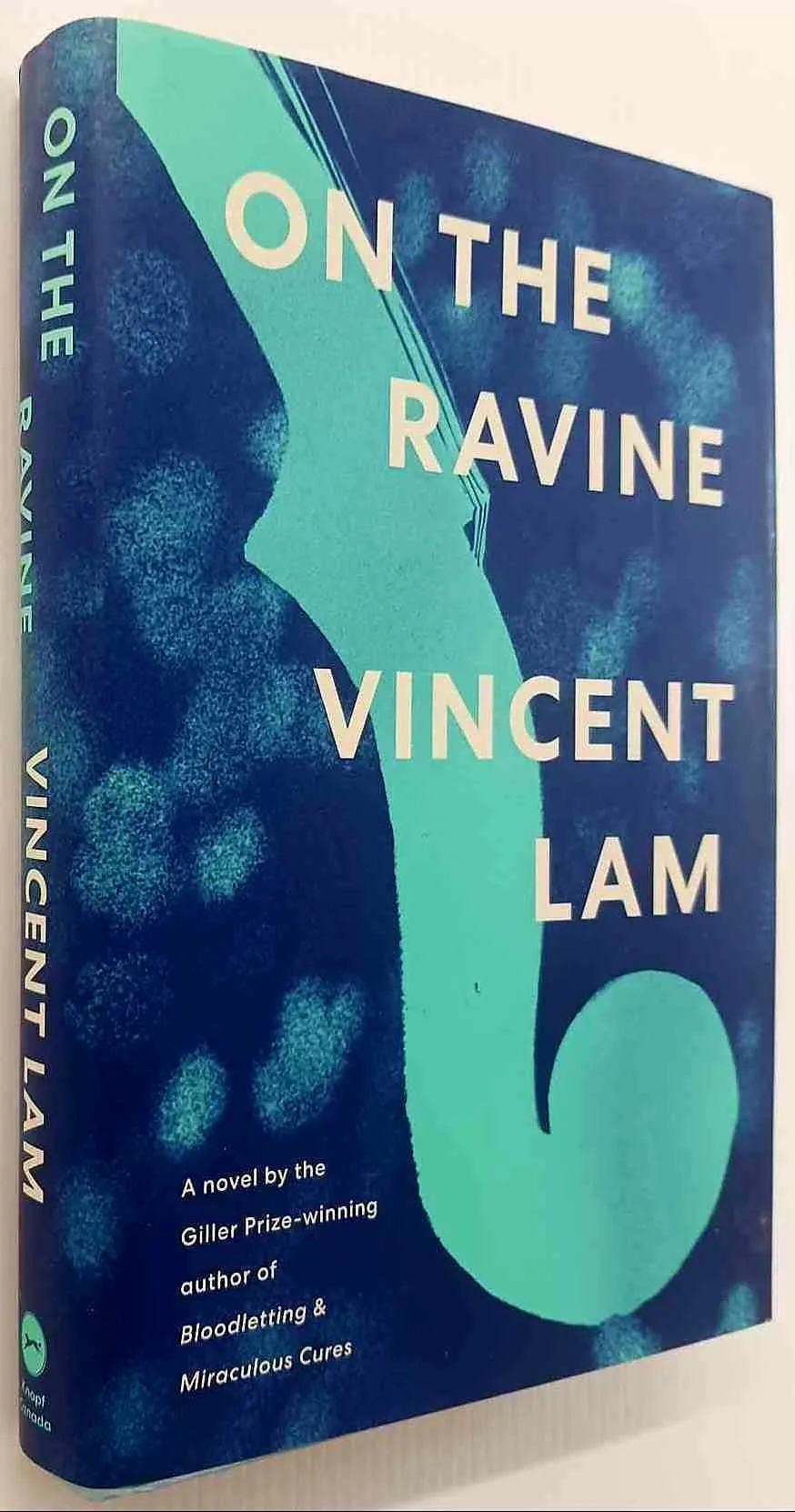 ON THE RAVINE - Vincent Lam