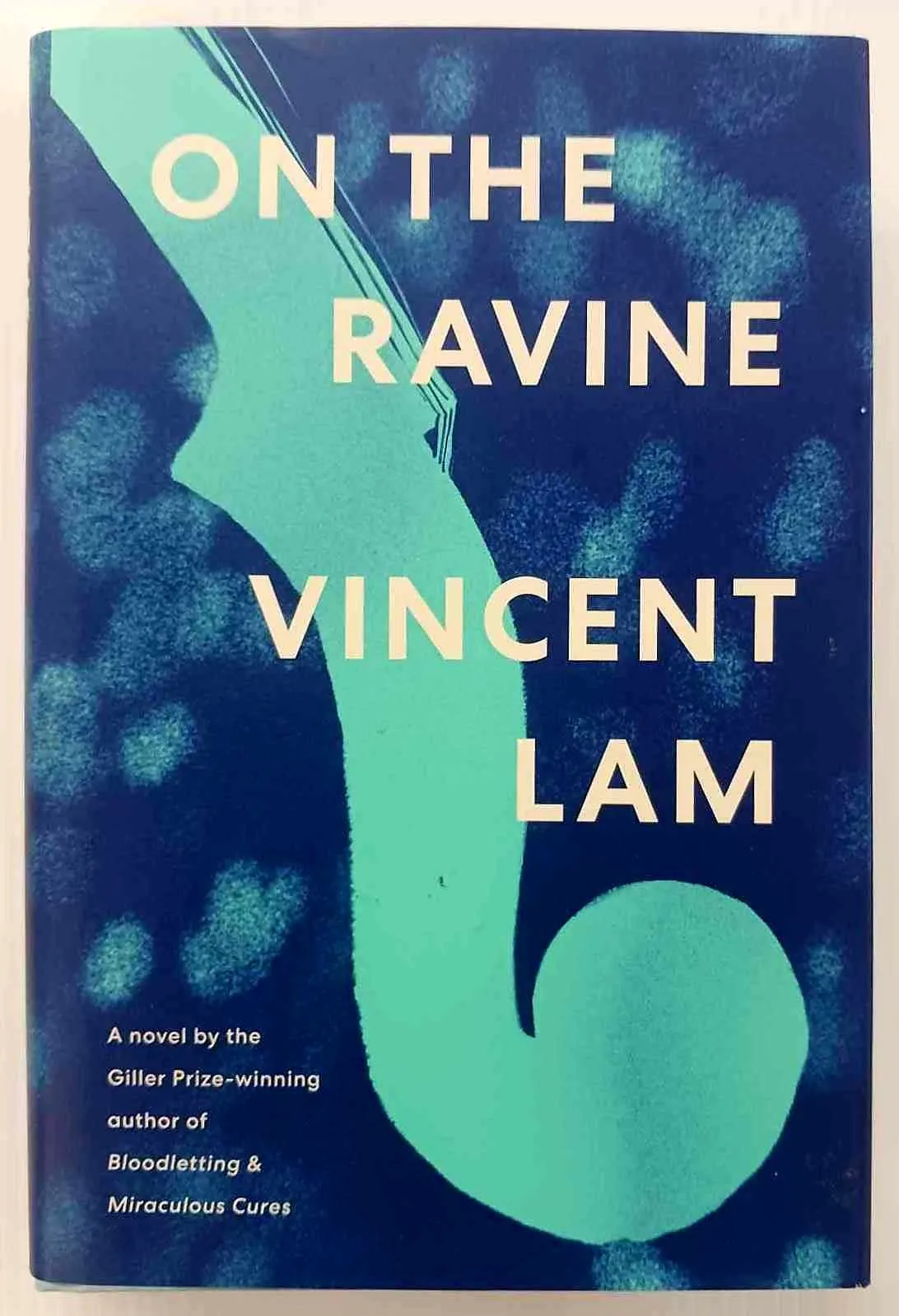 ON THE RAVINE - Vincent Lam