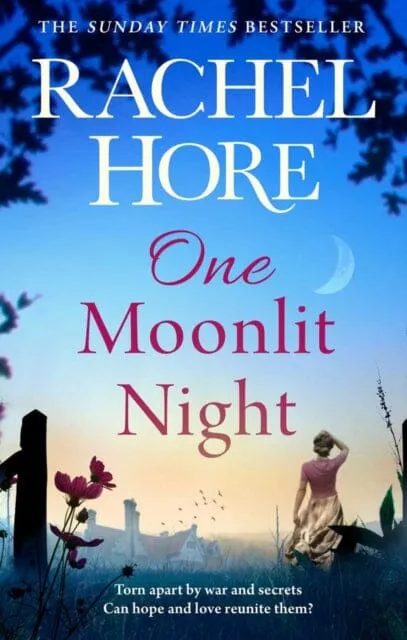 One Moonlit Night  by Rachel Hore