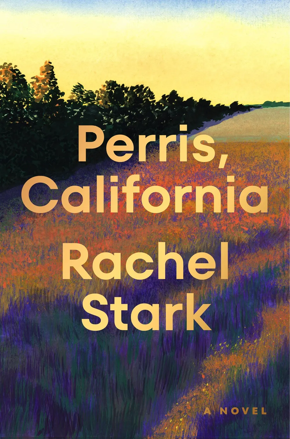 Perris, California : A Novel Cleary's