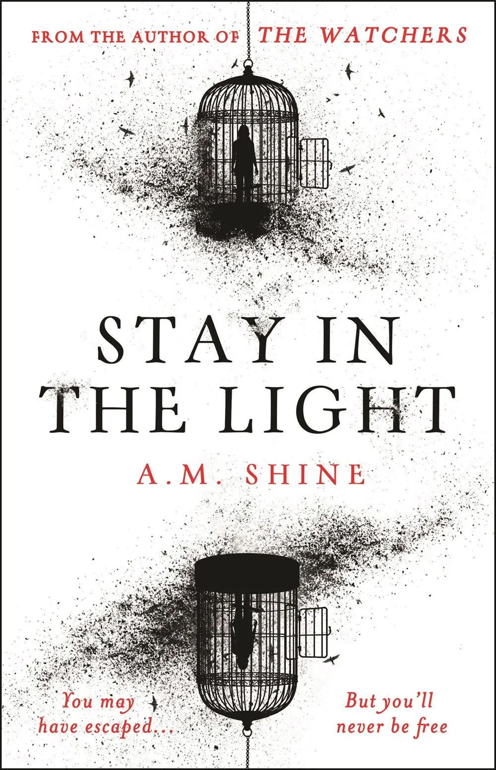 Stay in the Light : the chilling sequel to THE WATCHERS, now adapted into a major motion picture Cleary's