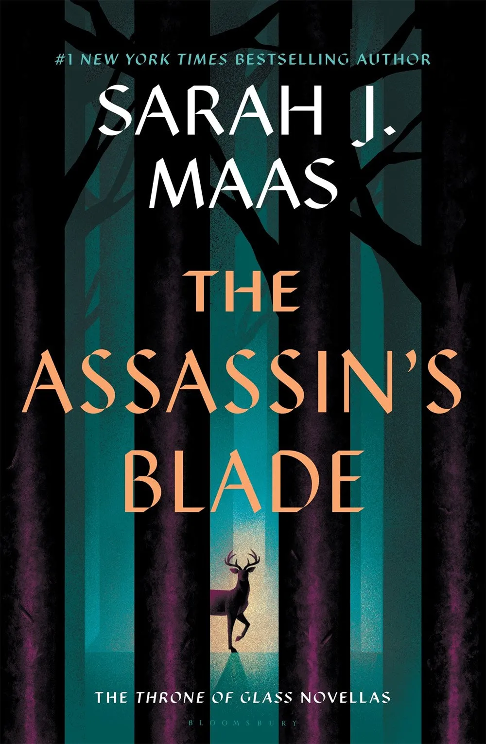 The Assasin's Blade Cleary's