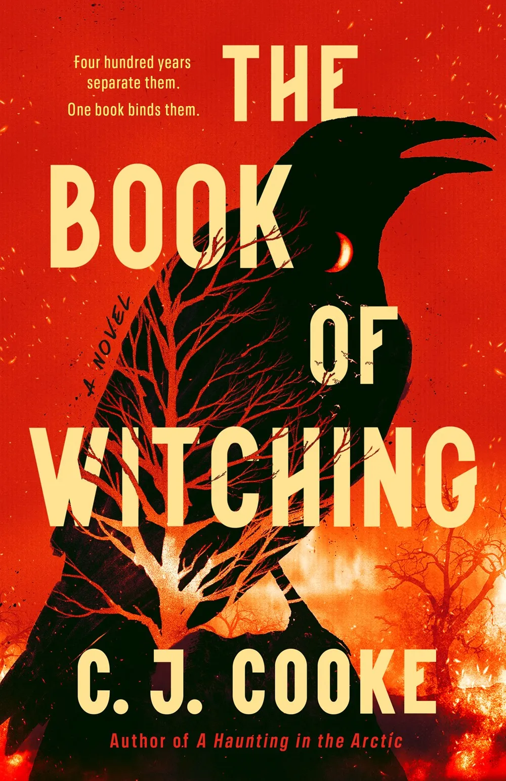 The Book of Witching Cleary's