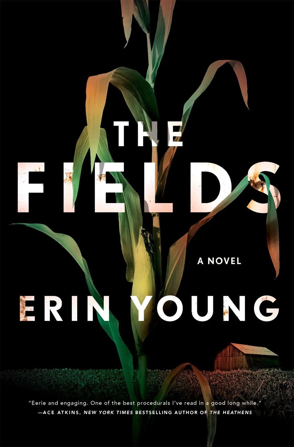 The Fields : A Novel Cleary's