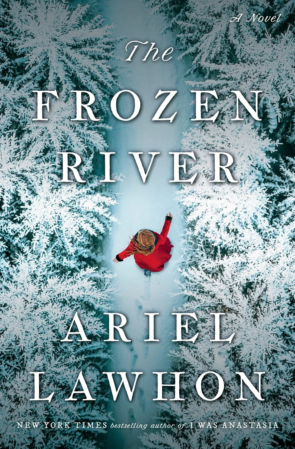 The Frozen River: A Novel Cleary's