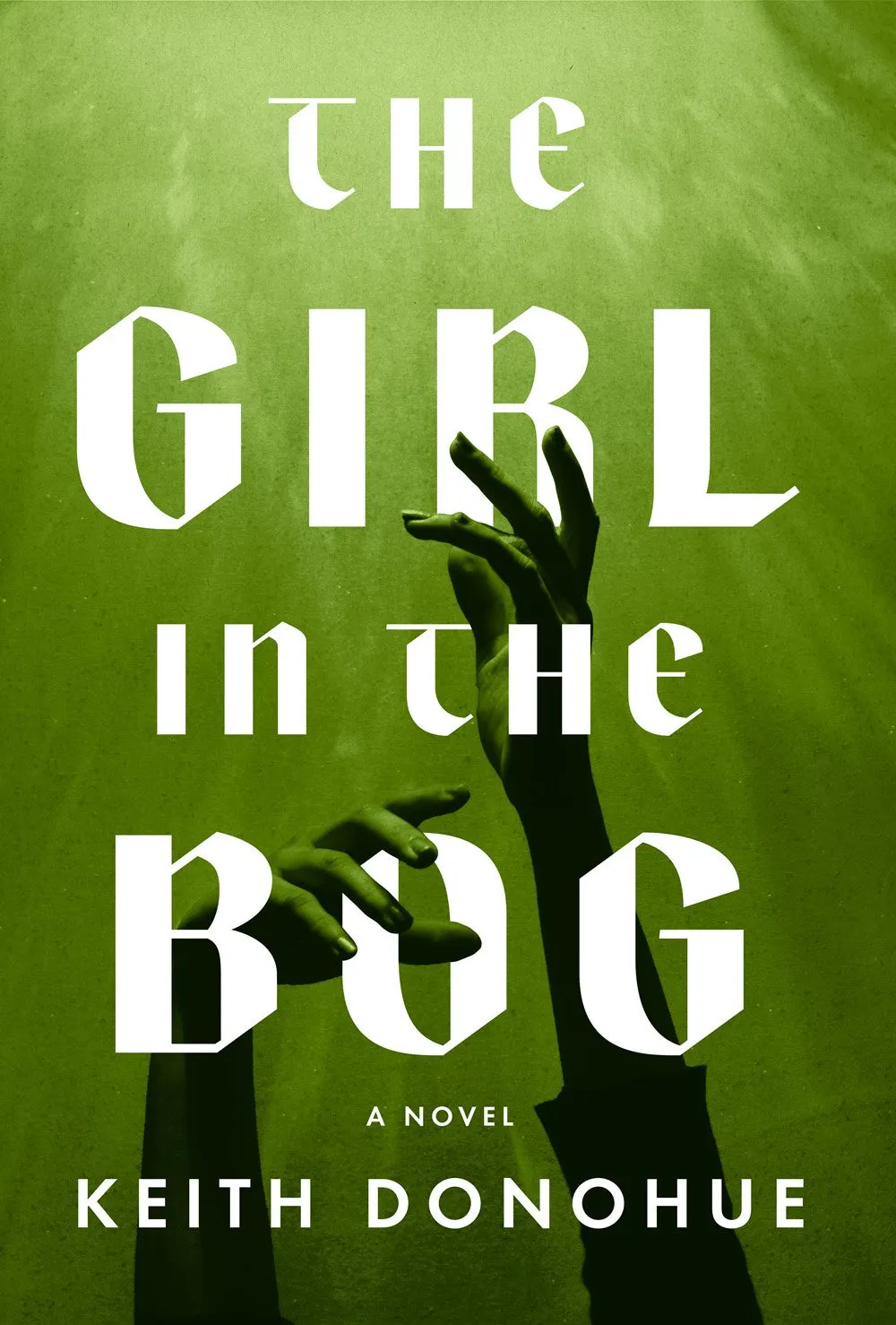 The Girl in the Bog Cleary's