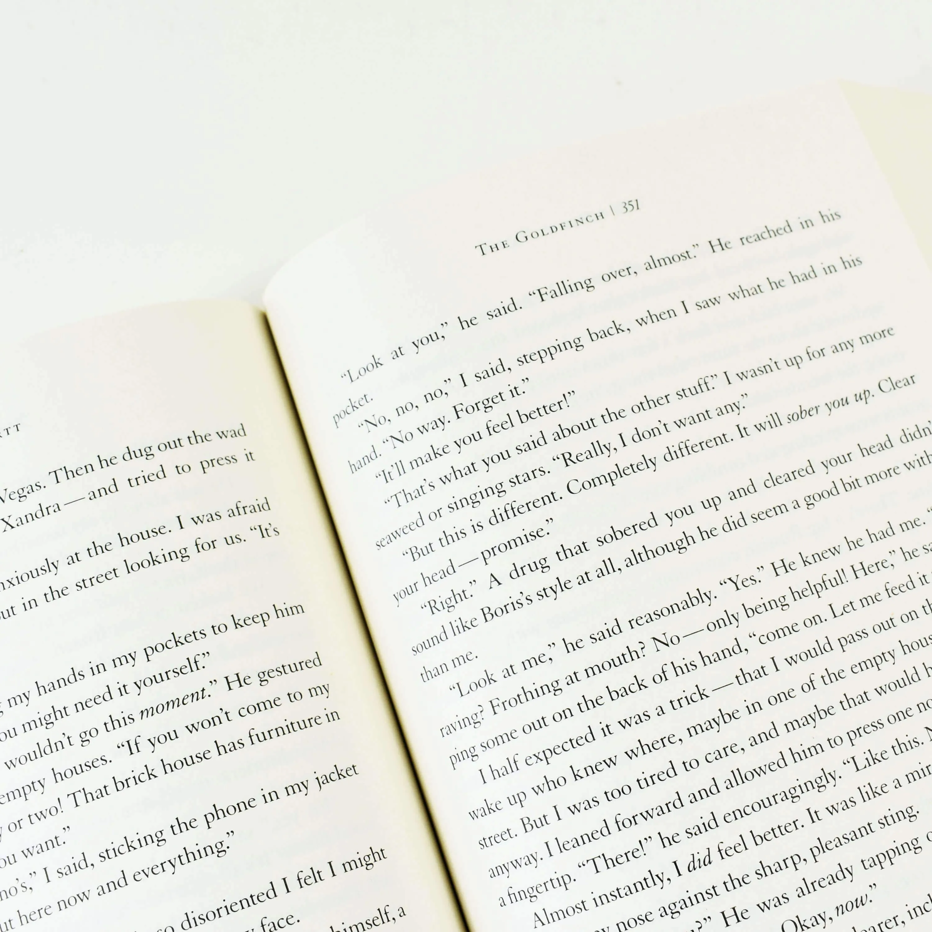 The Goldfinch by Donna Tartt - Fiction - Paperback