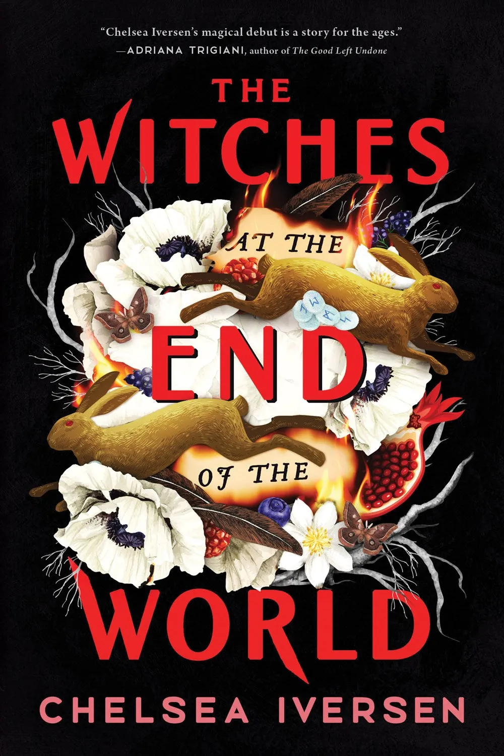 The Witches at the End of the World Cleary's