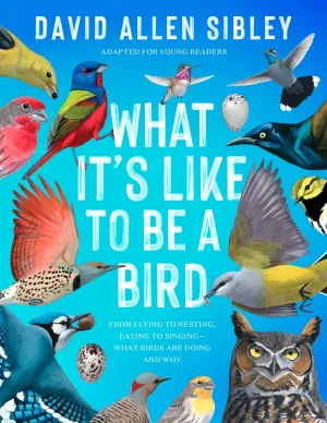 What Its Like to Be a Bird (Adapted for Young Readers) Cleary's