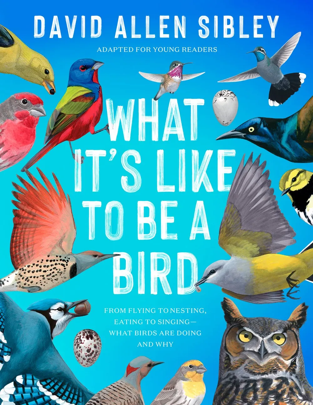 What Its Like to Be a Bird (Adapted for Young Readers) Cleary's