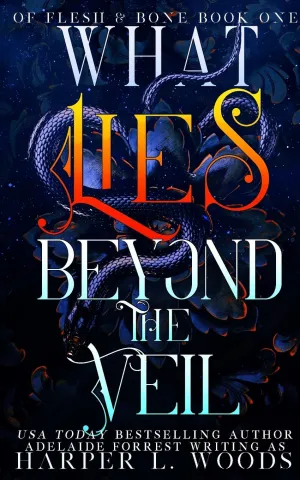 What Lies Beyond the Veil Cleary's