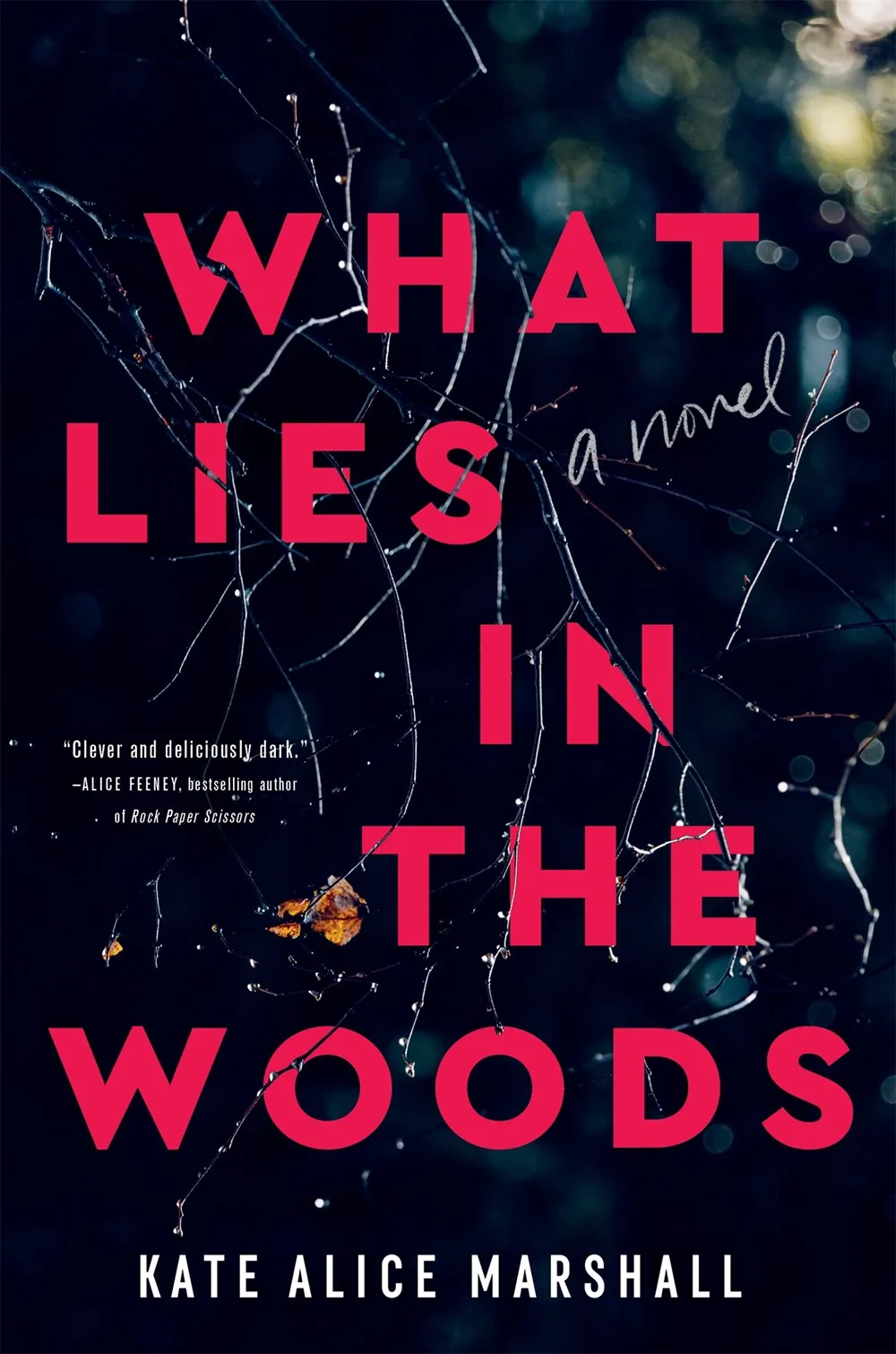 What Lies in the Woods : A Novel Cleary's