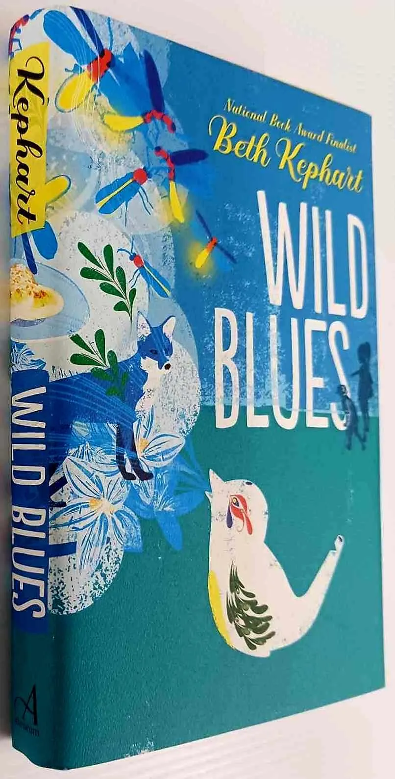 WILD BLUES - Beth Kephart